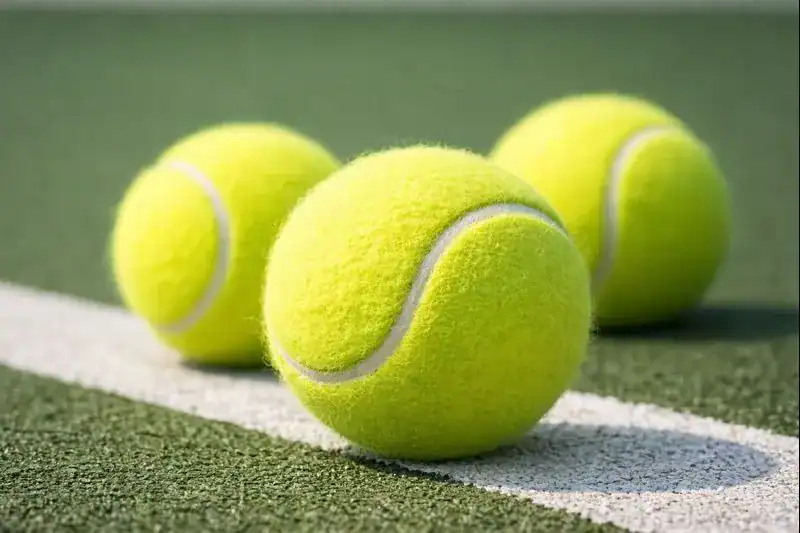 테니스공 테니스볼 사진